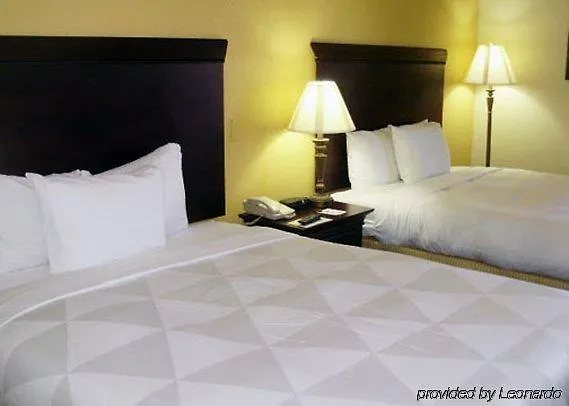 Hotel Clarion International Airport