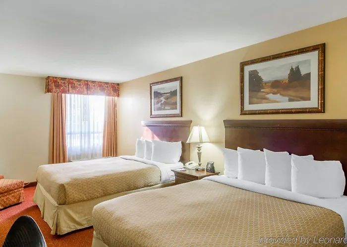 Hotel Clarion International Airport