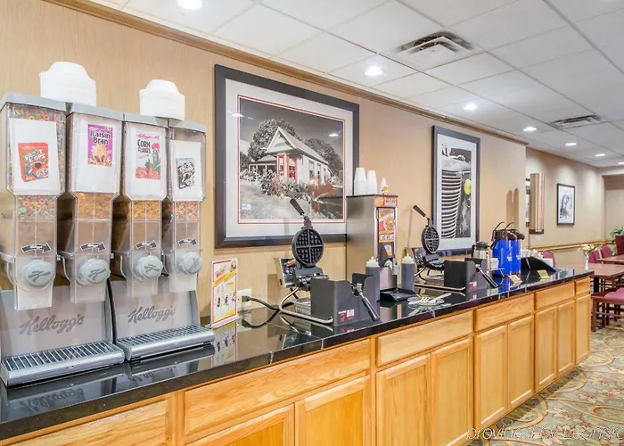 Clarion International Airport Hotel 3*