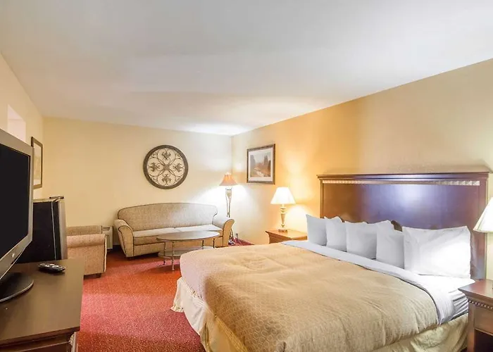 Clarion International Airport Hotel 3*